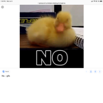 CHICKENS are offended