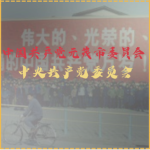 中国共产党北鞍市委员会