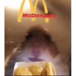 Free robucc