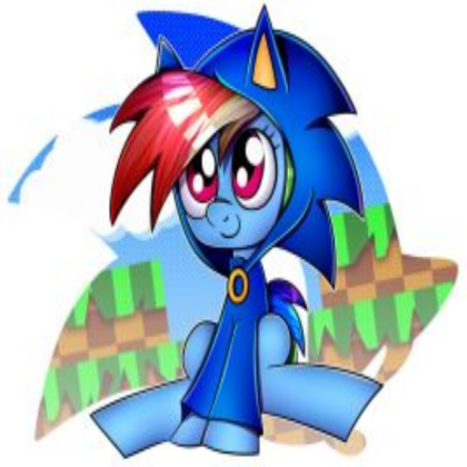 Rainbow Dash Wearing a Sonic Hoodie Roblox decal