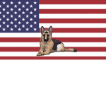 German Shepherd.