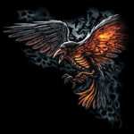 Ravens Talons