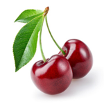 the cherry bomb group