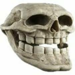 skinny skeletons _