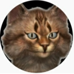 FireFly_Cats