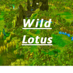Wild Lotus