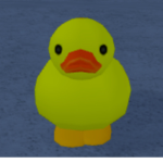 UnOfficial Ducks