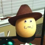 Egg coperation