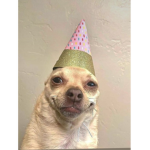Idk just join ugly