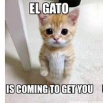 Elgatos the best