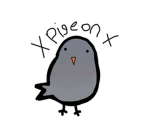 XPigeonX fan group