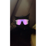 Giantjsius