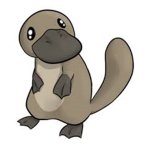Platypus Fan Club!