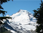 Washington Group Thumbnail