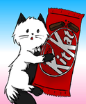 The one and only Kit-Cats