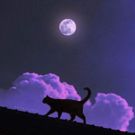 ~+ THE LUNAS +~