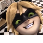 cat noir !
