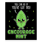 The Mint Team