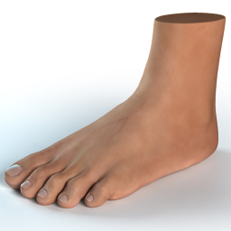Burger King Foot Lettuce