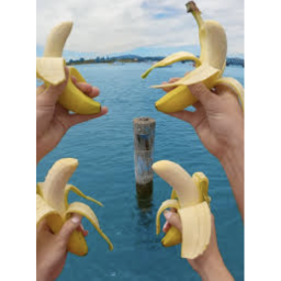 Banana/apple parkour