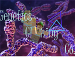 Genetics Clothing Design Co.