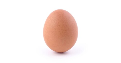 Egg Cracking Simulator