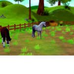 Horse den