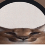 MONKEY GXNG