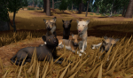 Alvarith's Pack