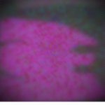 GroupGroupGroup##################