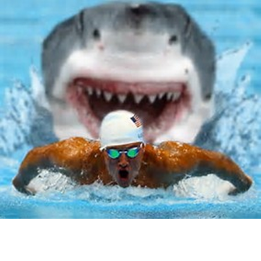 Run from the killer Shark!