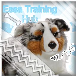 •Essa Trading Hub•