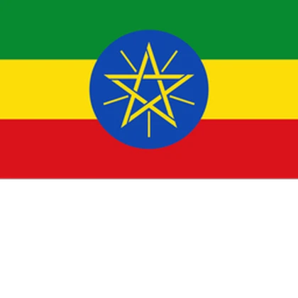 [ʾኢትዮጵያ] Federal Democratic Republic of Ethiopia Roblox group icon