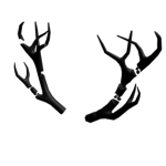 Dark Antlers Group