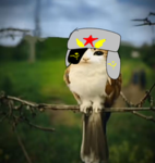 カンヒュ組