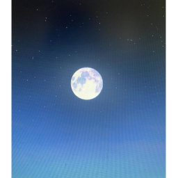 place_5894991263