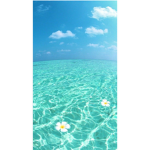 FOREVER_ OCEAN