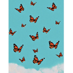 Sky Butterflies