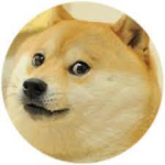 | DOGE MILITARY |