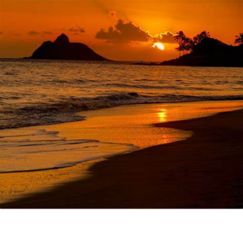 Calvin Harris - feels