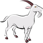 Goat Studio™