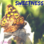 ✰ Sweetness ✰