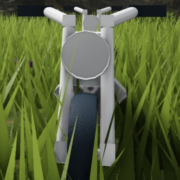 dirt bike race
