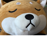 #Doge Club!!!