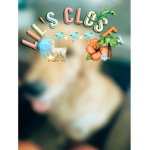 Lil’s Closet !!