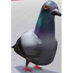 Pigeon patrol
