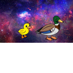 Ducklings Club