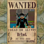 BRAWL'S DOMAIN