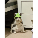 “ GLOOMYs „