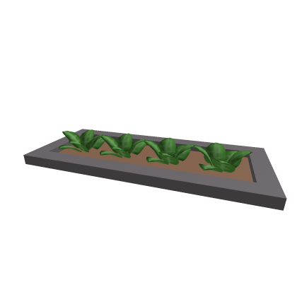 Plant Bed!